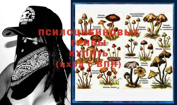 mdma Нязепетровск