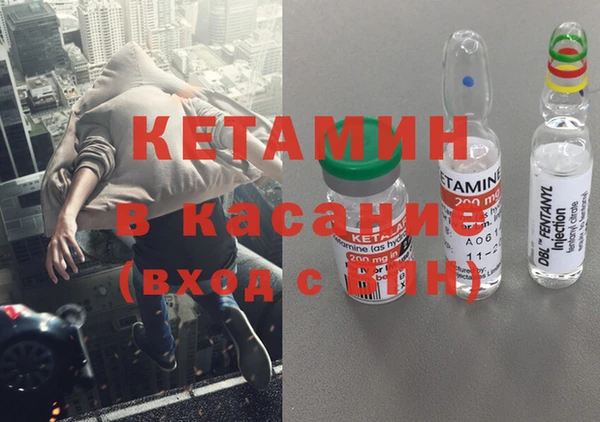 твердый Пересвет