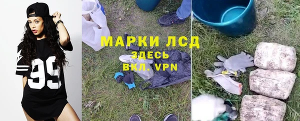 амф Няндома