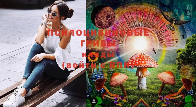 Галлюциногенные грибы MAGIC MUSHROOMS  Лабытнанги 