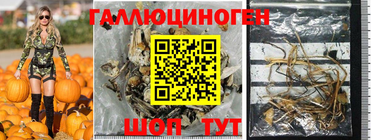 Галлюциногенные грибы прущие грибы Лабытнанги