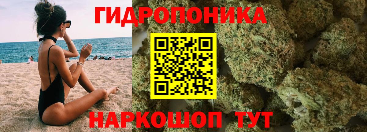 Конопля Ganja Лабытнанги